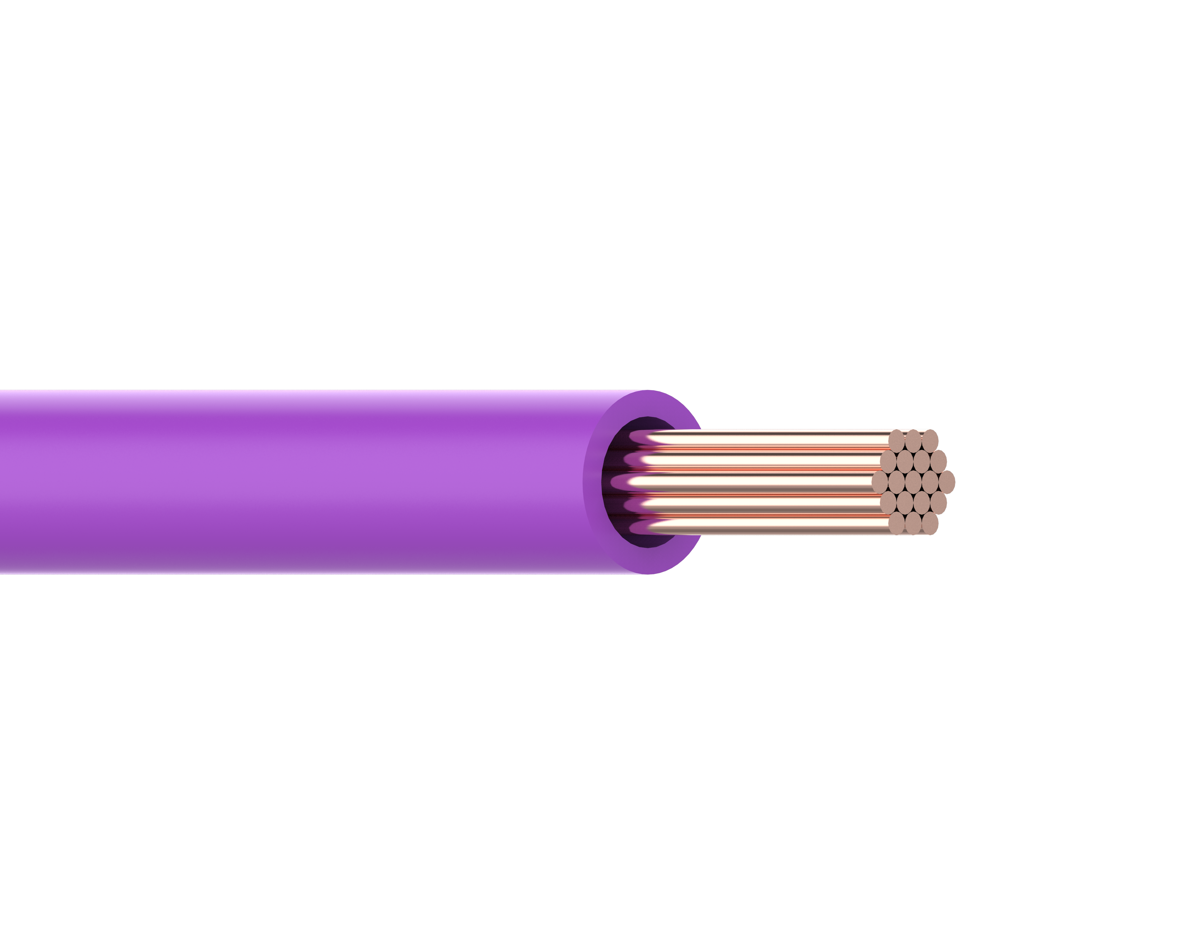 Primary wires V1 PURPLE